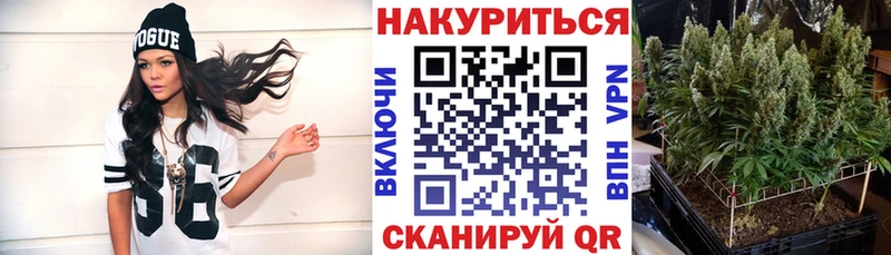 Какие есть наркотики Болотное ГАШ  Бутират  МЕФ  Канабис  Cocaine  A-PVP 