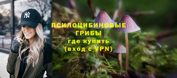 стафф Струнино