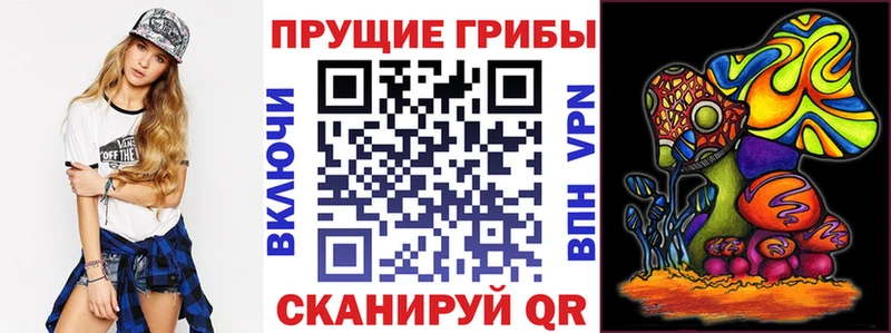 Псилоцибиновые грибы Psilocybe  omg зеркало  Болотное  купить  цена 